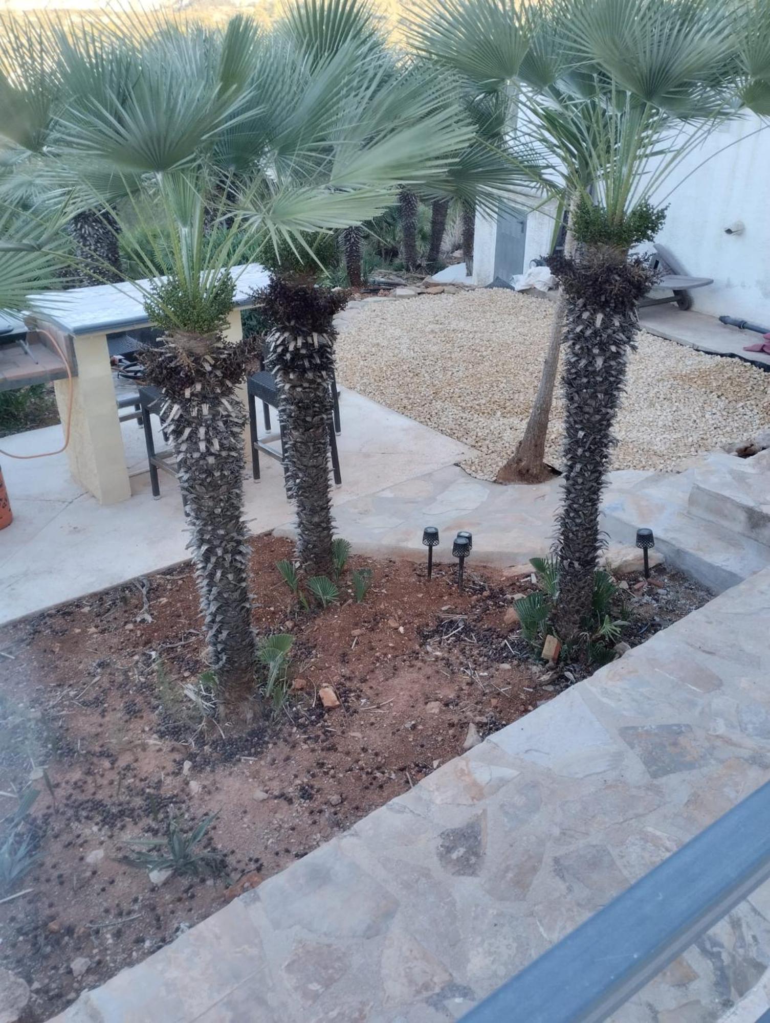 Luxe Appartement Met Tuin Benidoleig Kültér fotó