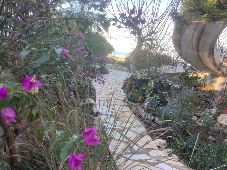 Luxe Appartement Met Tuin Benidoleig Kültér fotó